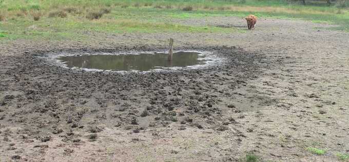 Nederland waterland? Boswachters maken zich zorgen over droogte komende maanden