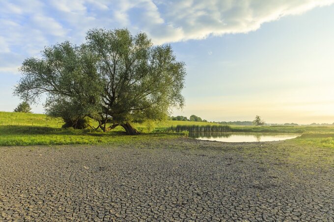 Maak snel meer natuurlijke sponzen tegen verdroging