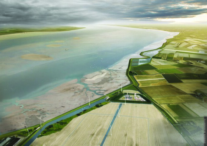 Quick Scan kansen voor Blue Carbon in de Eems-Dollardregio